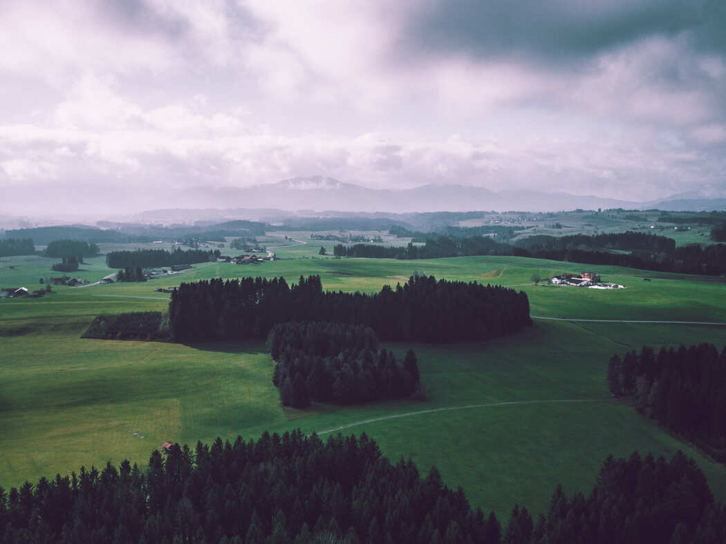Wald und Wiesen